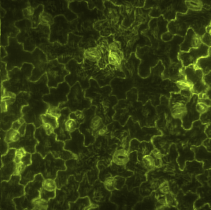 Results Fusion+cmle(left)