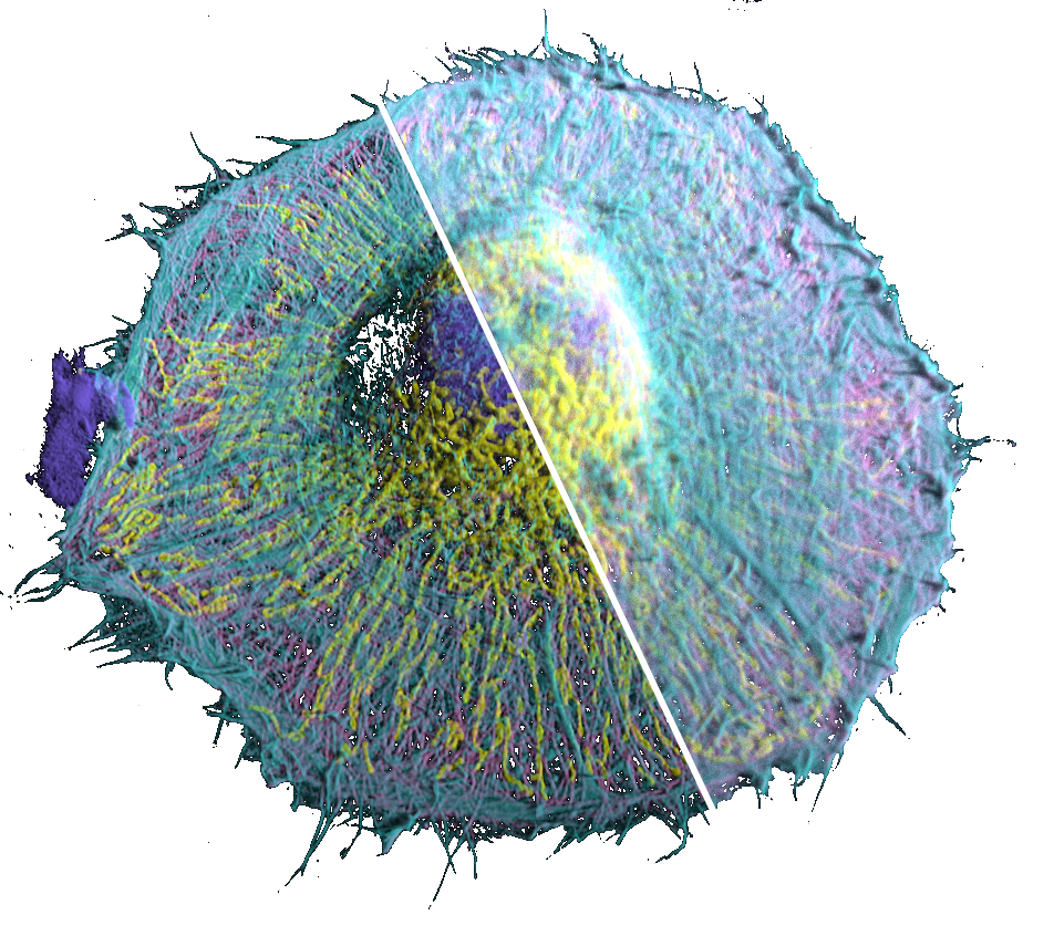 Deconvolution