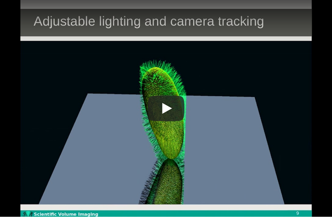 Webinar