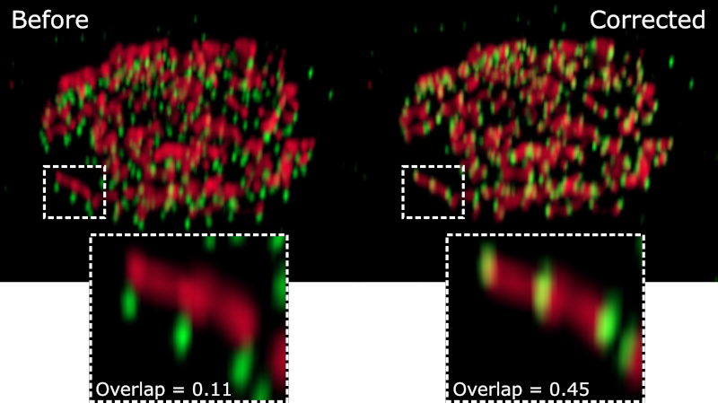 ChromAb U2OS