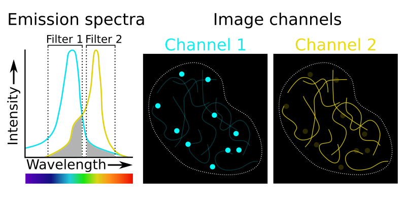 Crosstalk Thumbnail Image V4