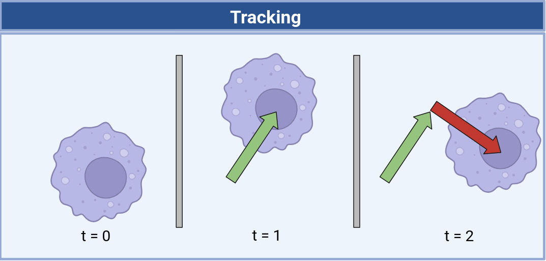 Tracking