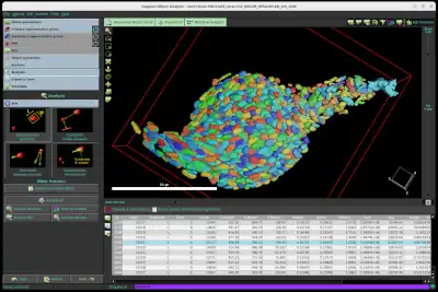 AI Segmentation