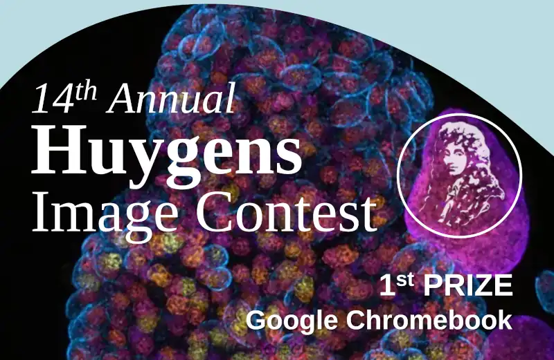 Imaging Contest 2025 Small